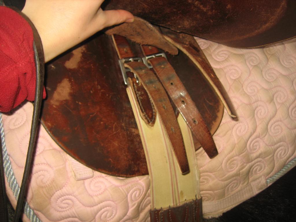 Near side (right) girth, fully tightened